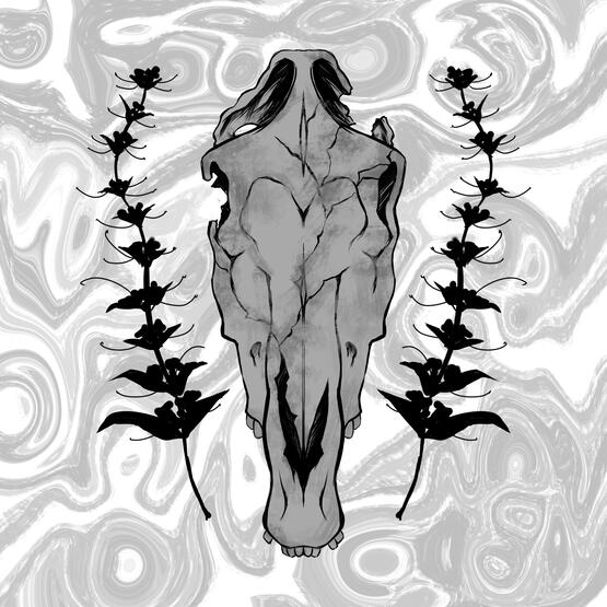 "Medicine Skulls: Sage Pony" (2023) Digital Illustration